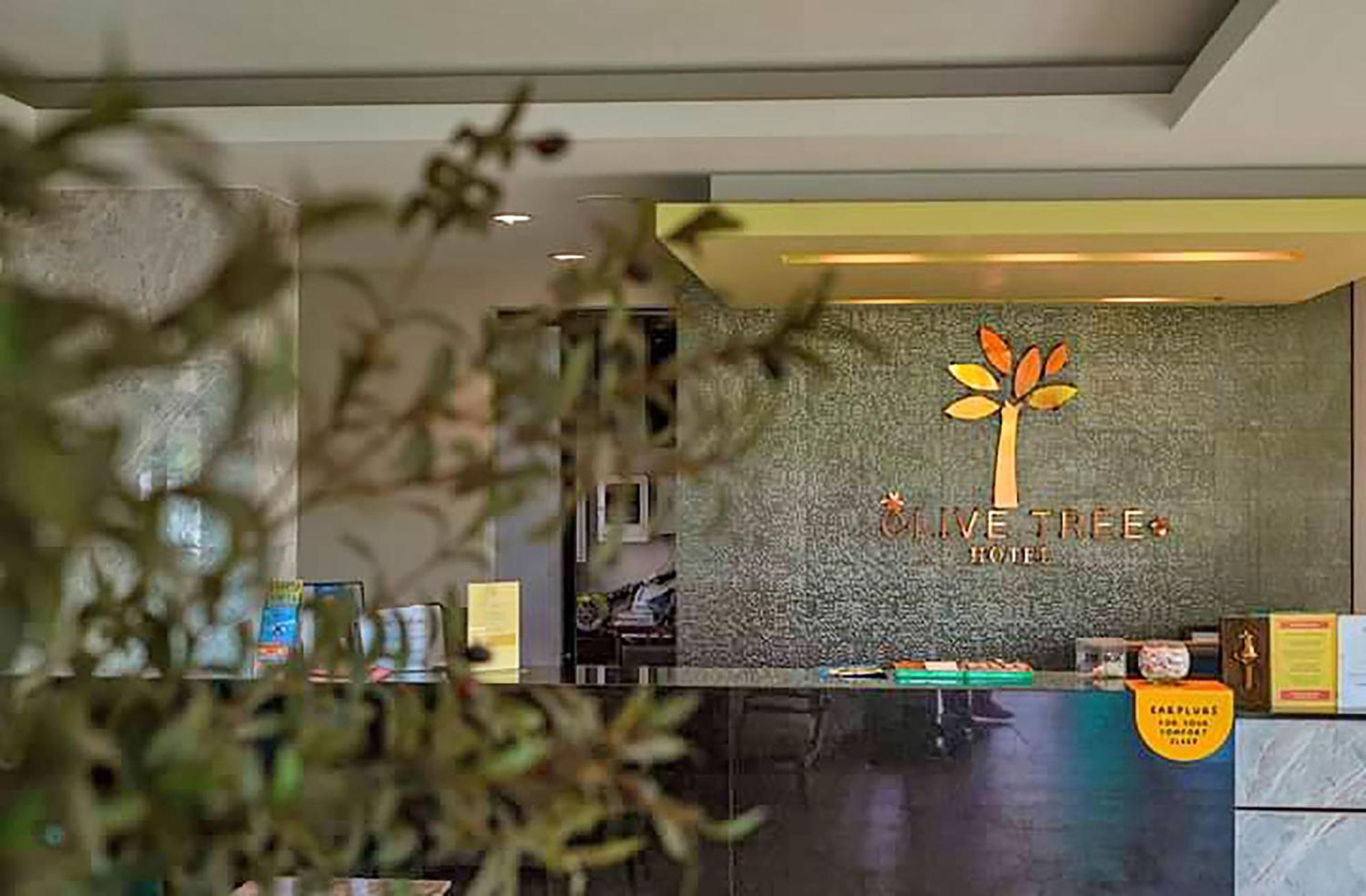 Olive Tree Hotel Pattaya Na Chom Thian Extérieur photo